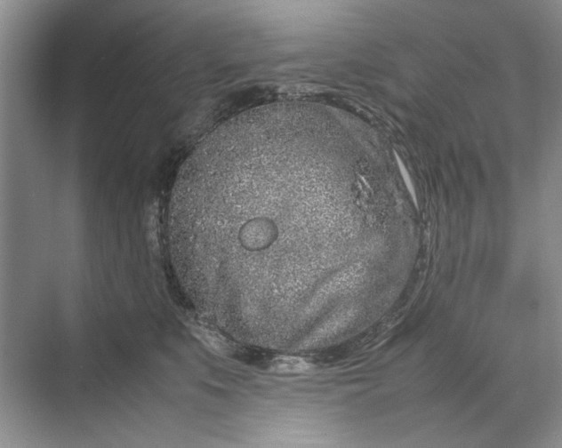 X0000070210519200606091628