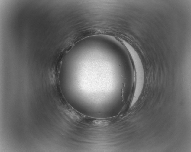 X0000070210520200606091628