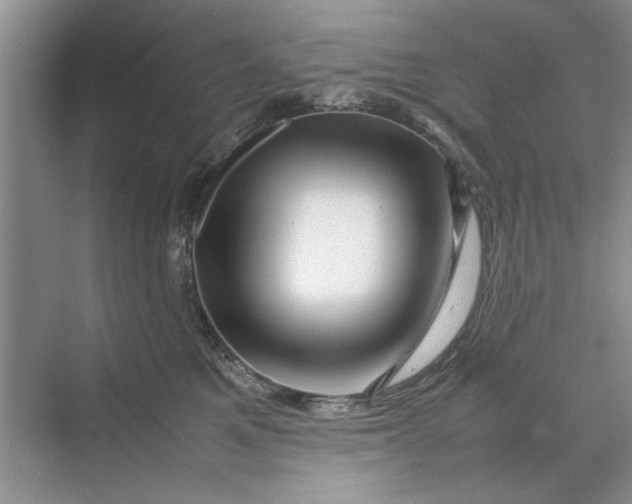 X0000070210521200606091628