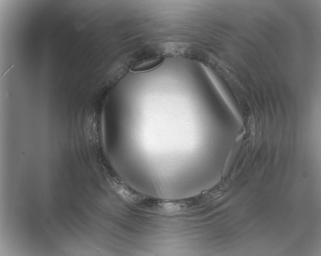 X0000070210522200606091628