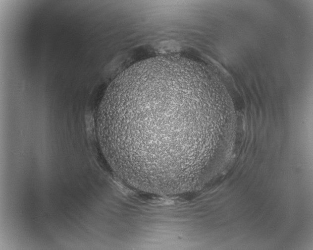 X0000070210523200606091628