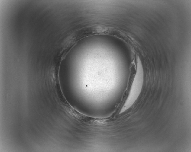 X0000070210524200606091627