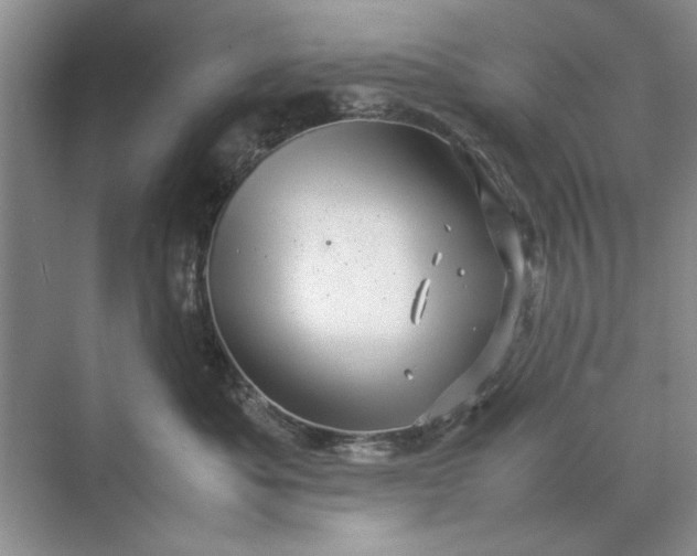 X0000070210525200606091627