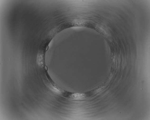 X0000070210526200606091627