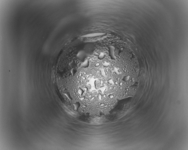 X0000070210527200606091627