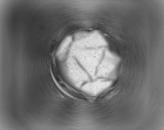 X0000070210528200606091627