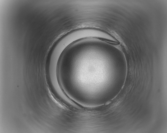 X0000070210530200606091627