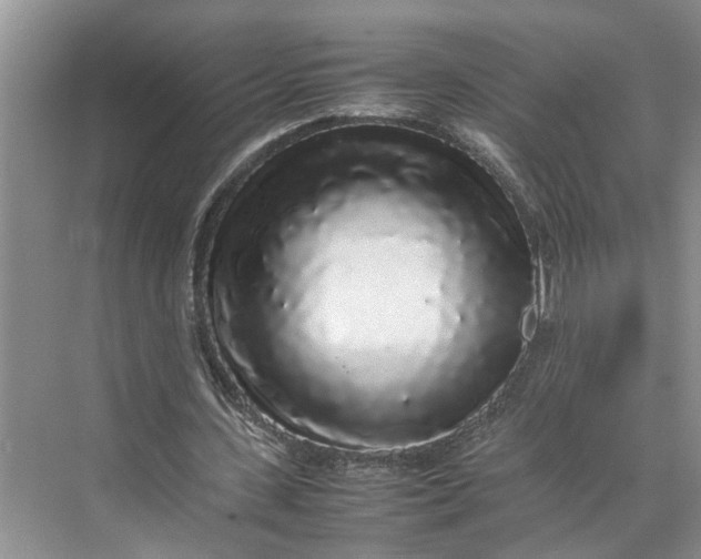 X0000070210531200606091627