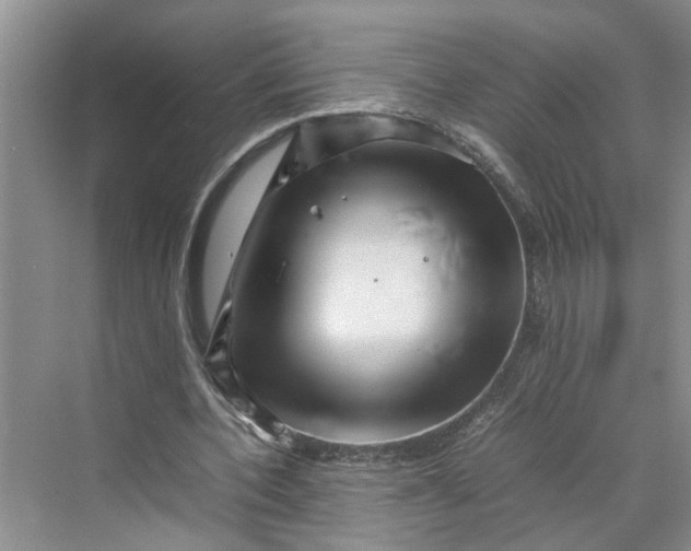 X0000070210532200606091627