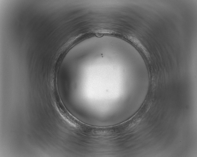 X0000070210533200606091627