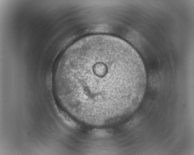 X0000070210534200606091627