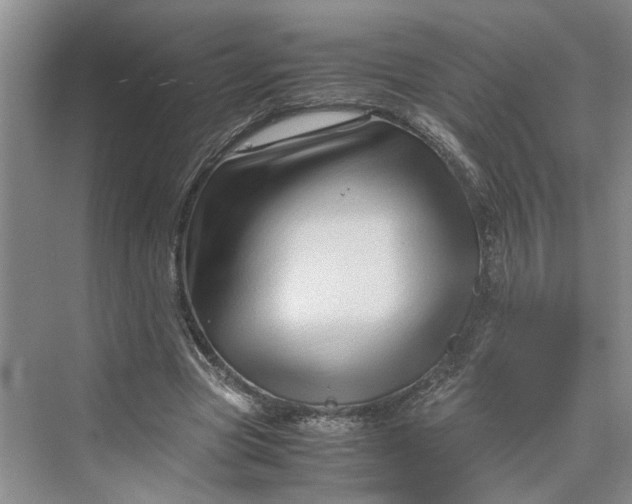 X0000070210537200606091627