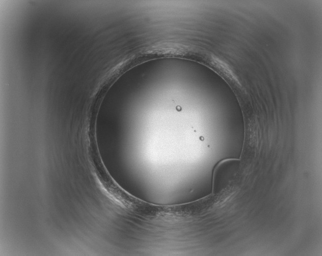 X0000070210538200606091627