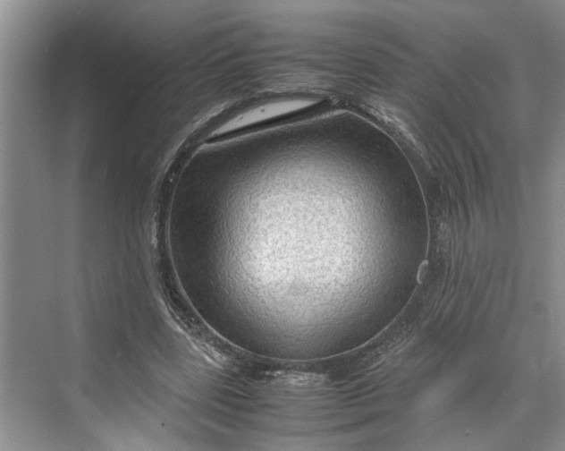 X0000070210539200606091627