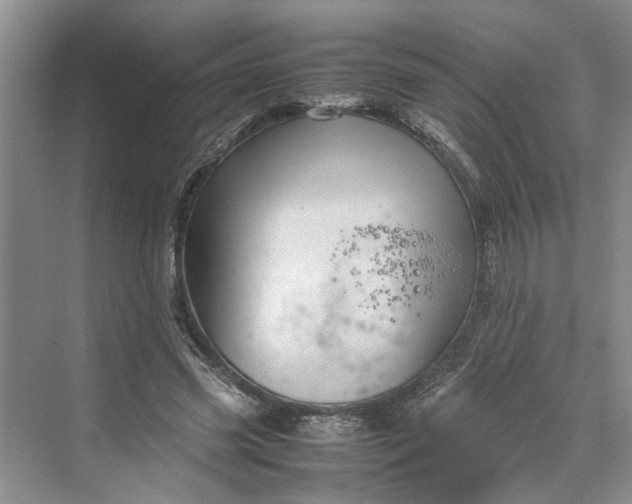 X0000070210541200606091627