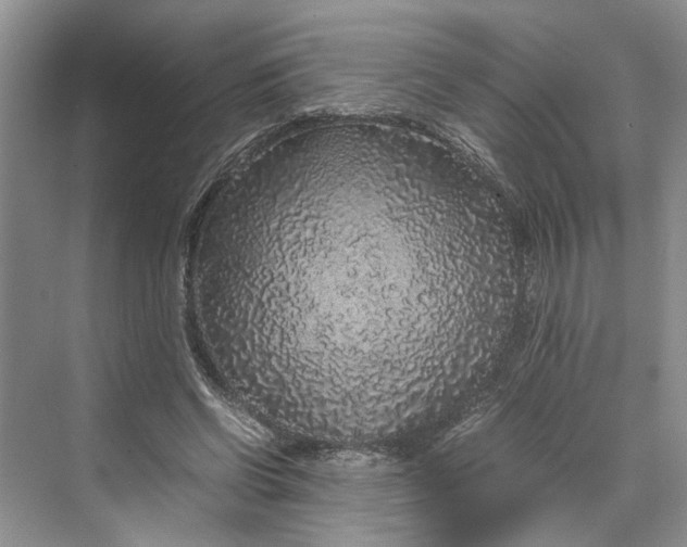 X0000070210542200606091627