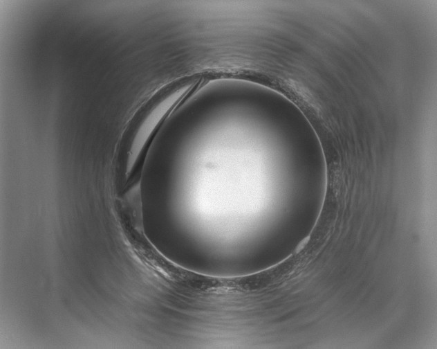 X0000070210544200606091627