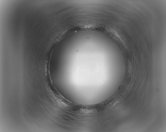 X0000070210545200606091627