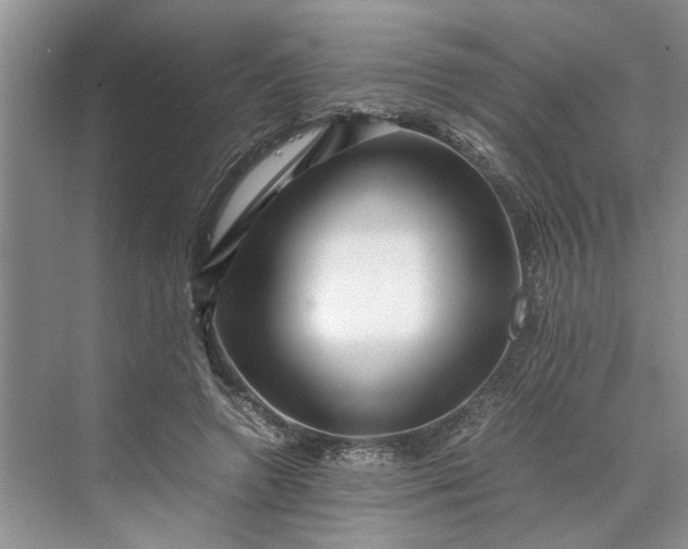 X0000070210546200606091627