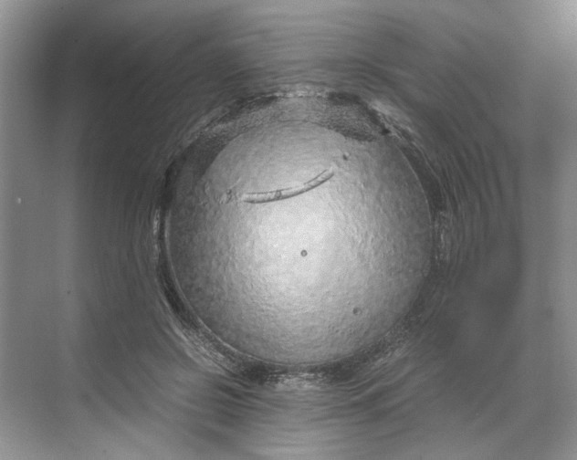 X0000070210550200606091627