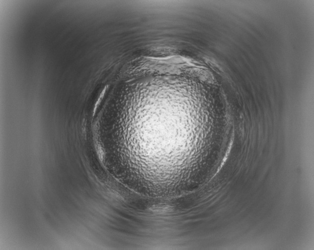 X0000070210551200606091627