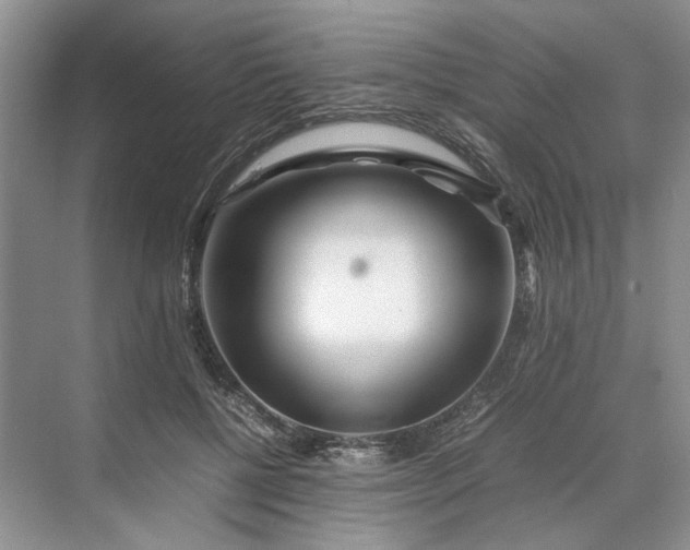 X0000070210552200606091627