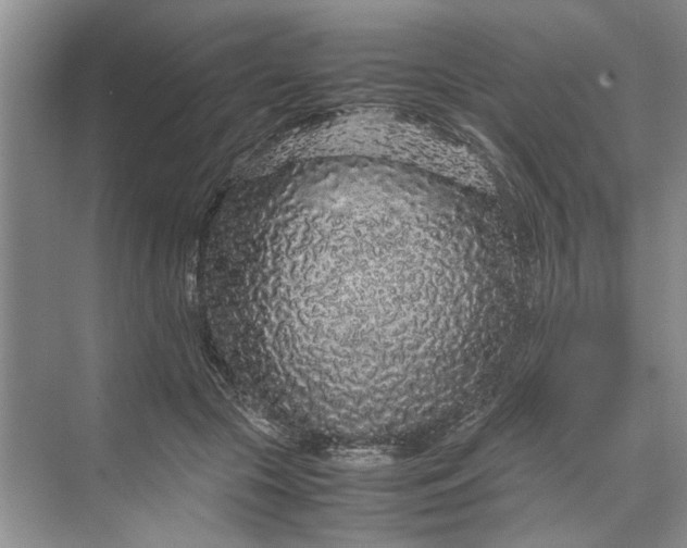 X0000070210553200606091627