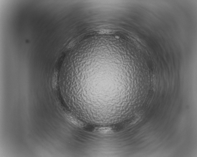 X0000070210554200606091627