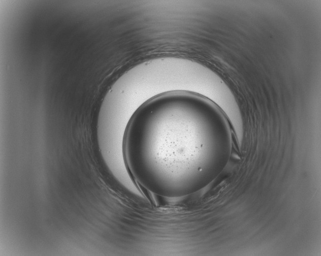 X0000070210556200606091627