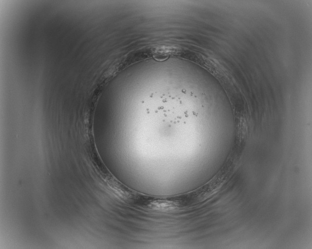 X0000070210557200606091627