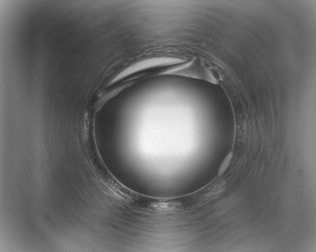 X0000070210558200606091627