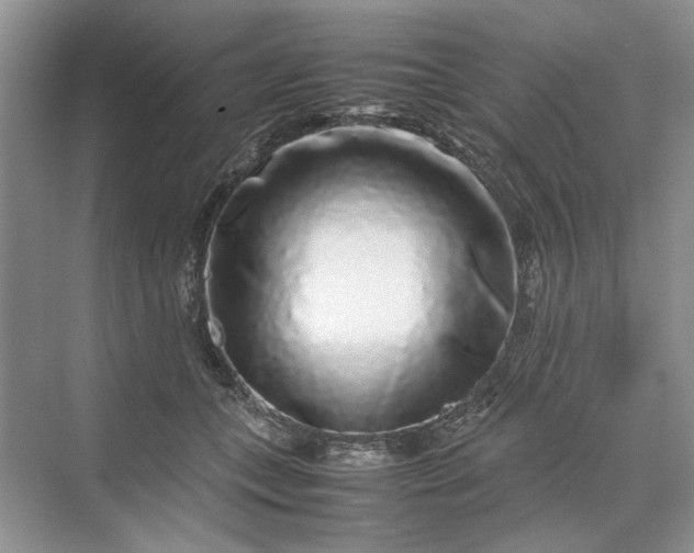 X0000070210559200606091627