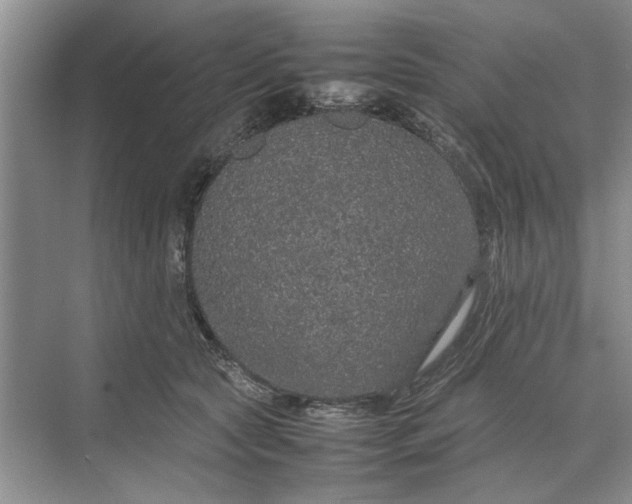 X0000070210561200606091627