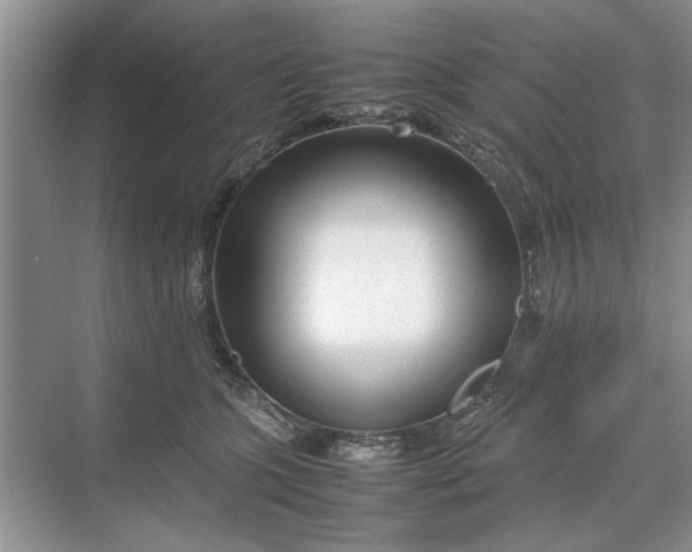 X0000070210563200606091627