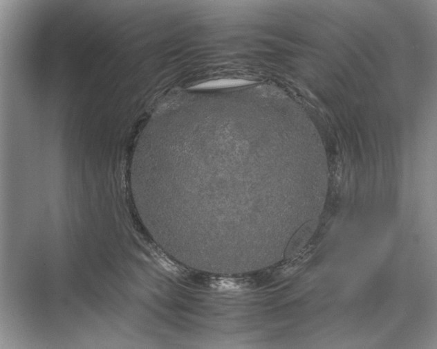 X0000070210565200606091627