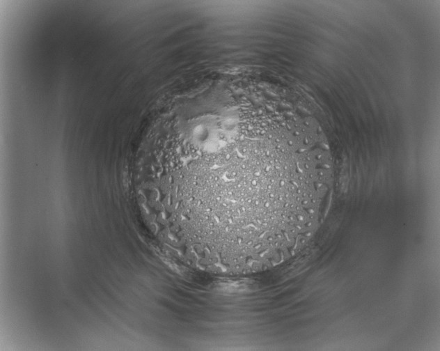 X0000070210569200606091627