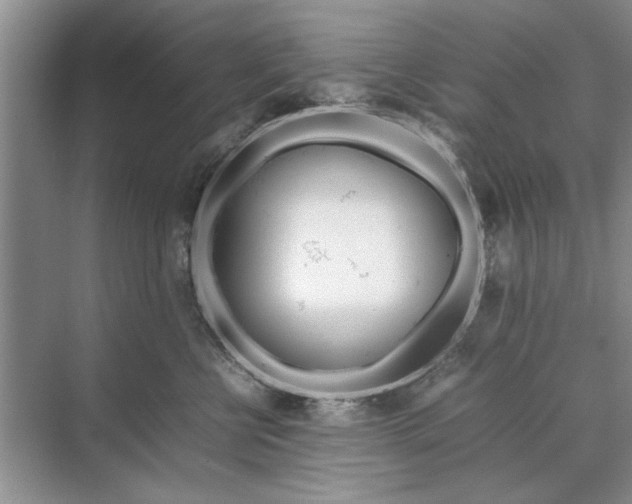 X0000070210570200606091627