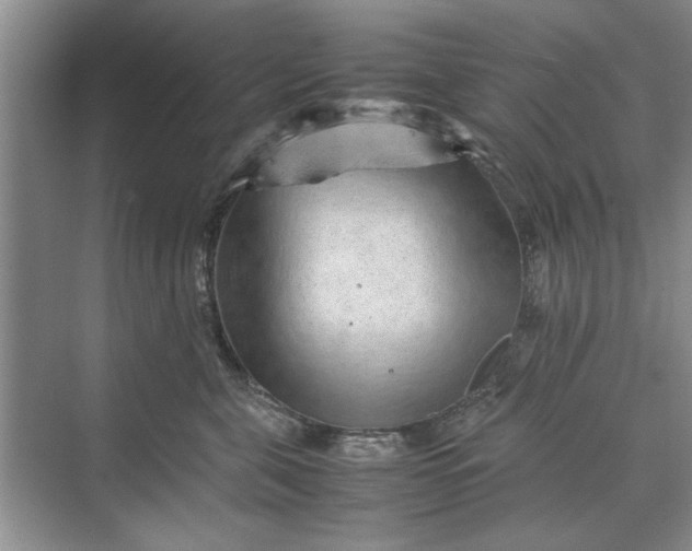 X0000070210571200606091627