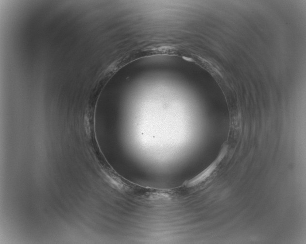 X0000070210572200606091627