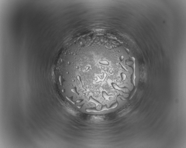 X0000070210573200606091627