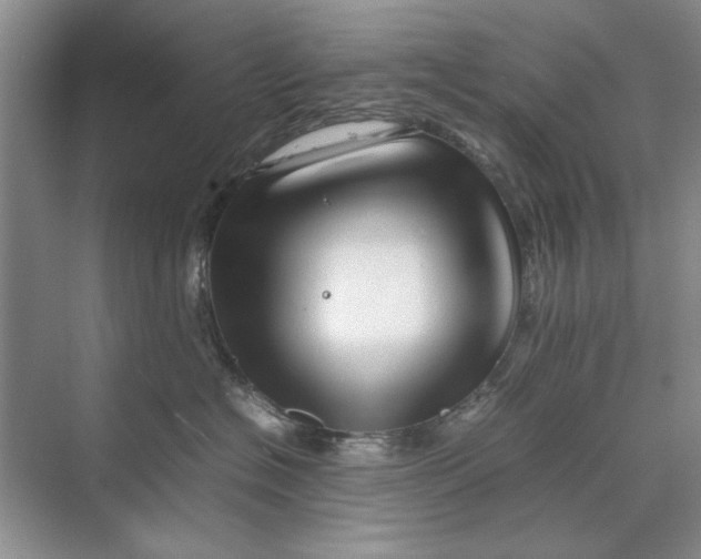 X0000070210574200606091627