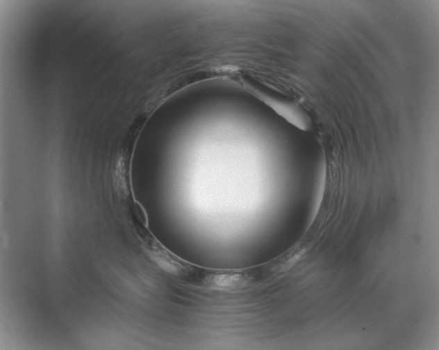 X0000070210575200606091627