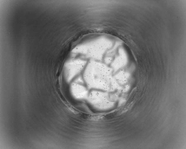 X0000070210576200606091627