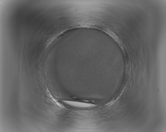 X0000070210577200606091627