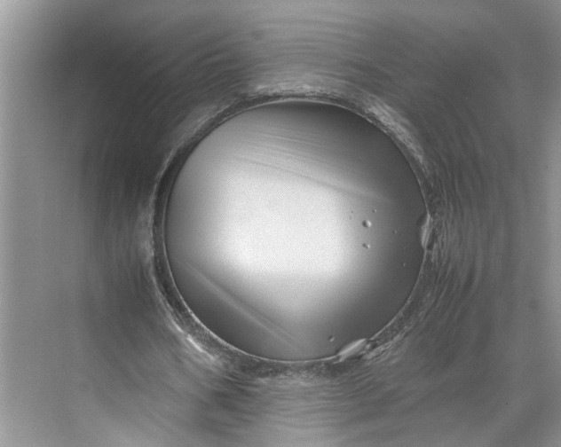 X0000070210578200606091627