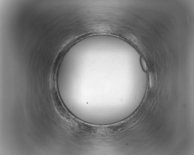 X0000070210579200606091627