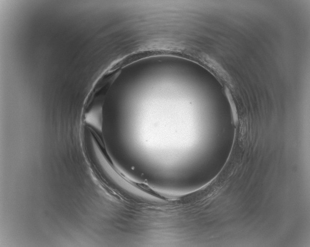 X0000070210580200606091627