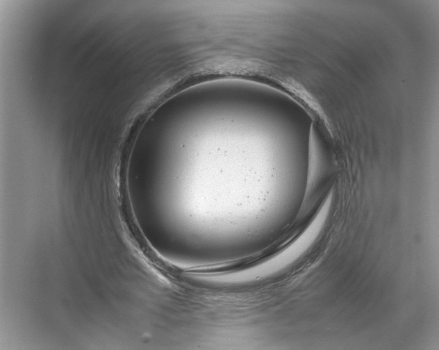 X0000070210581200606091627