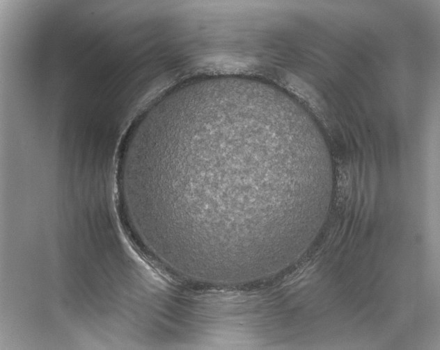 X0000070210582200606091627