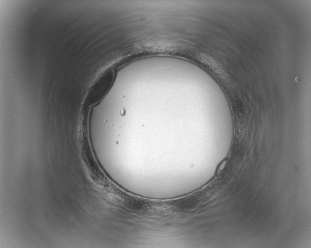 X0000070210583200606091626